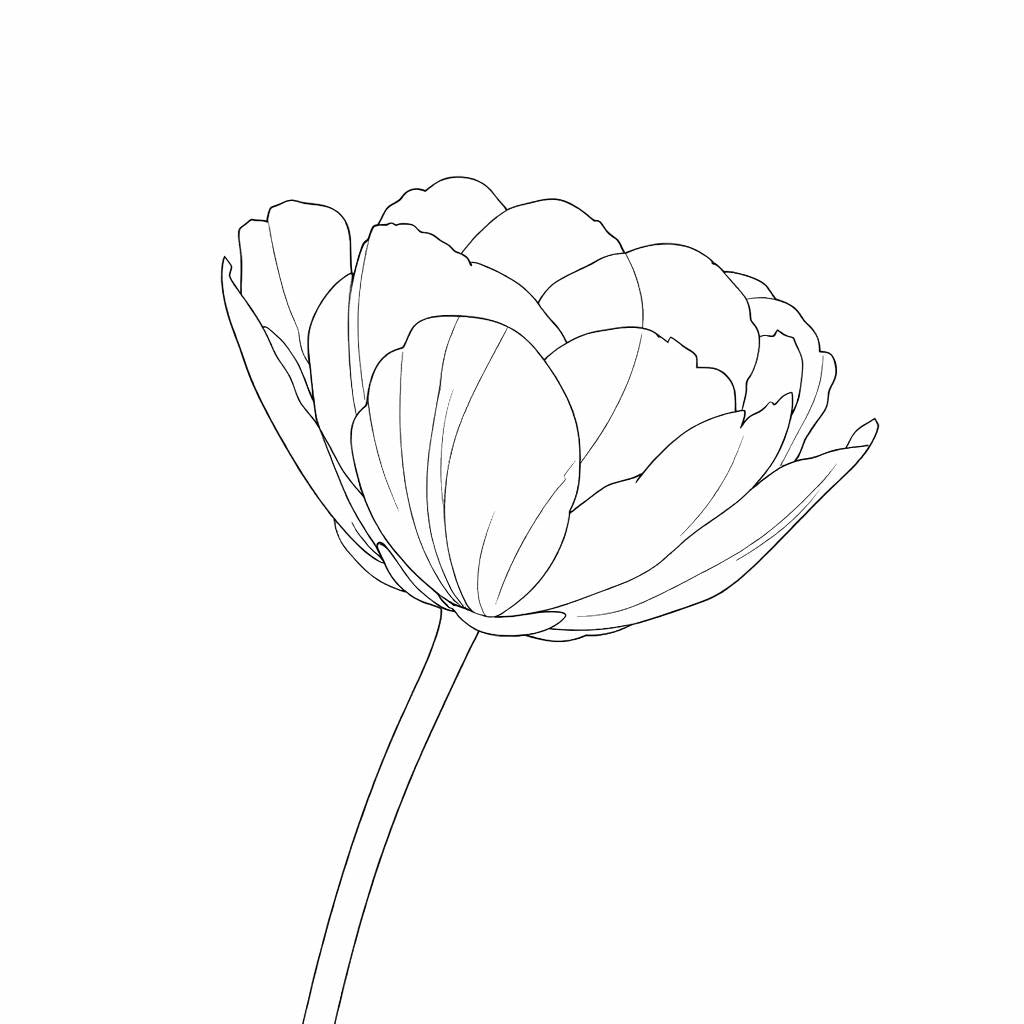 Line drawing of a flower on a white background