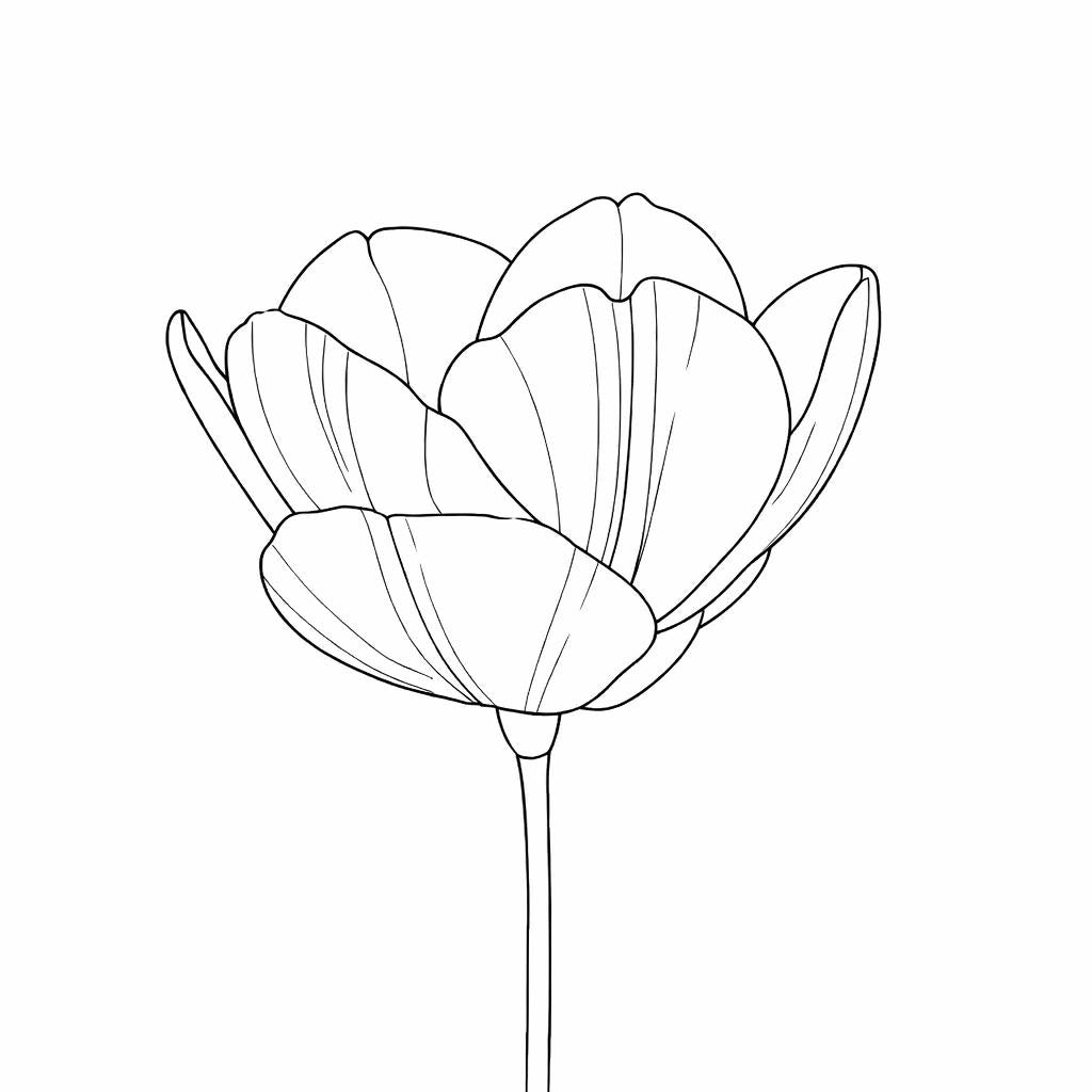 Line drawing of a flower on a white background